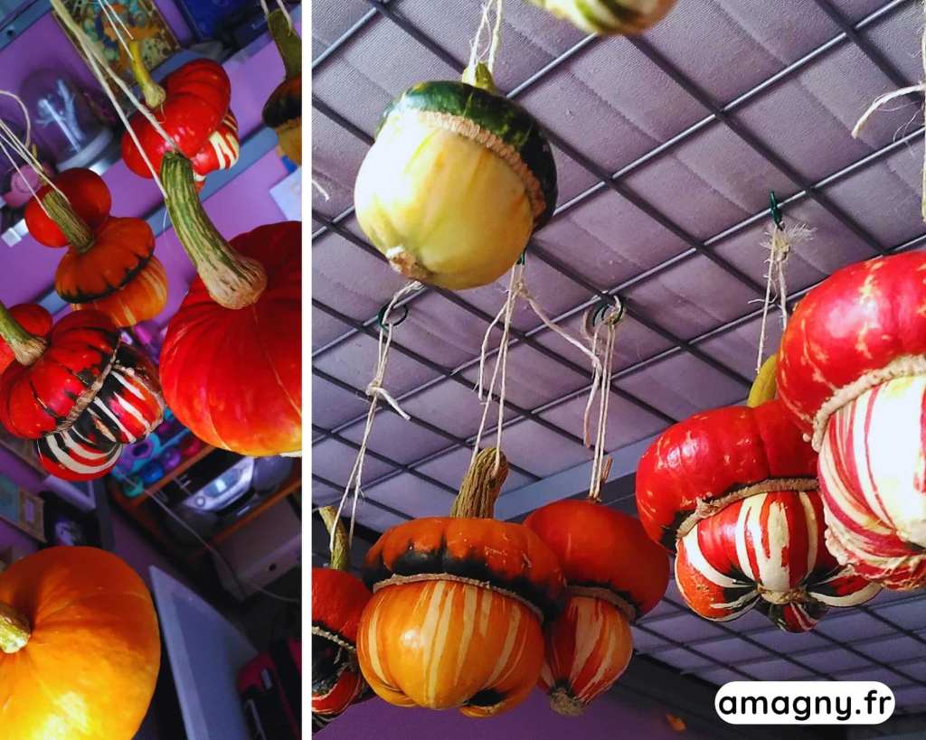 Collage de courges dĂ©coratives colorĂ©es suspendues Ă une structure, utilisĂ©es en dĂ©coration dâintĂ©rieur.