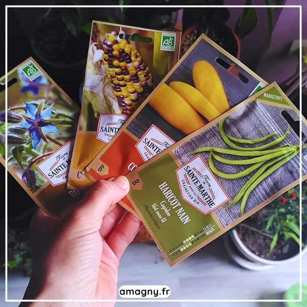 Main tenant plusieurs sachets de graines bio Ferme Sainte Marthe pour le potager.