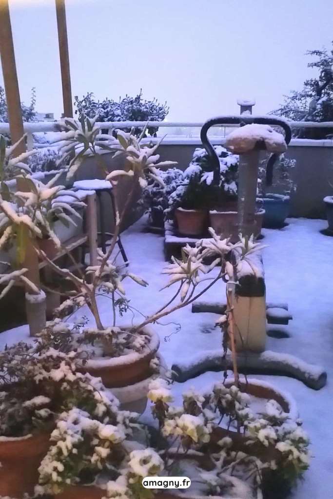 Terrasse recouverte de neige avec des plantes en pots et du mobilier extérieur enneigé.