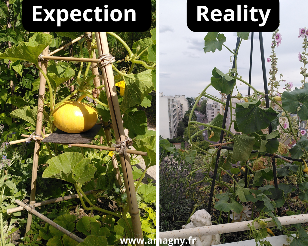 Montage expection vs reality