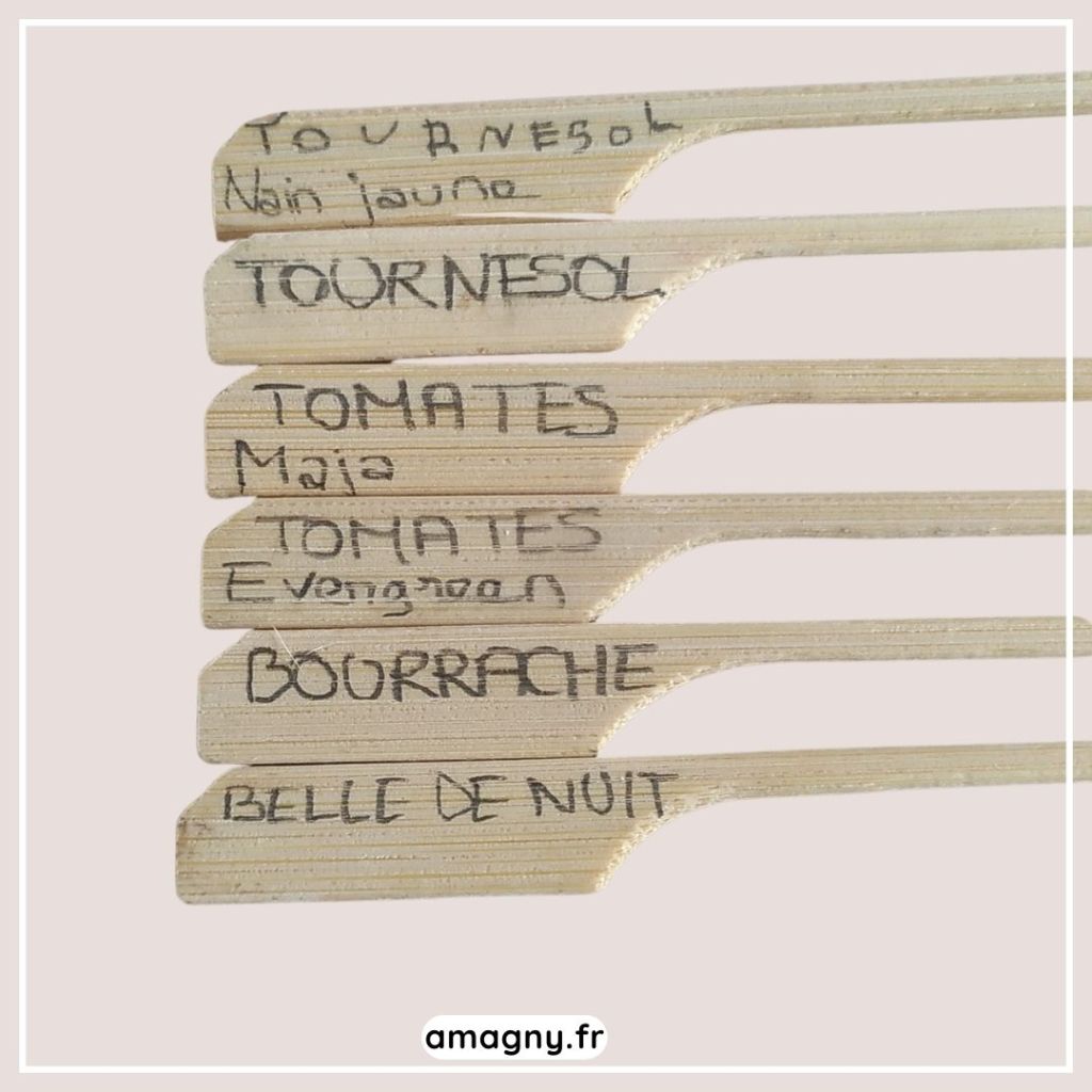 Étiquettes en bois pour identifier graines et plantes au jardin.