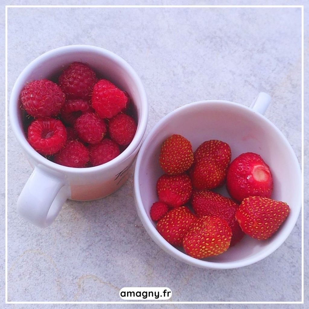 Deux mugs blancs remplis de framboises et de fraises des bois posés sur une surface en pierre.