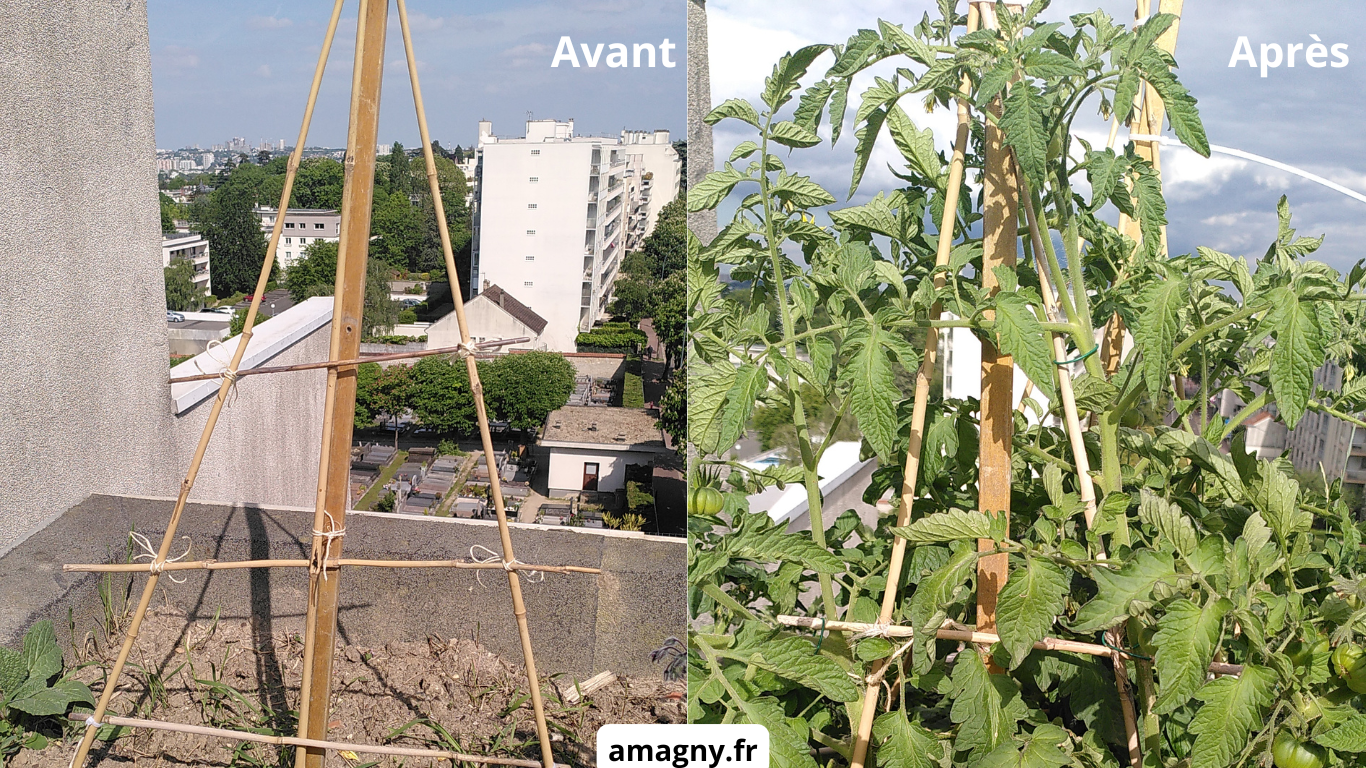 supports jardinage avant après