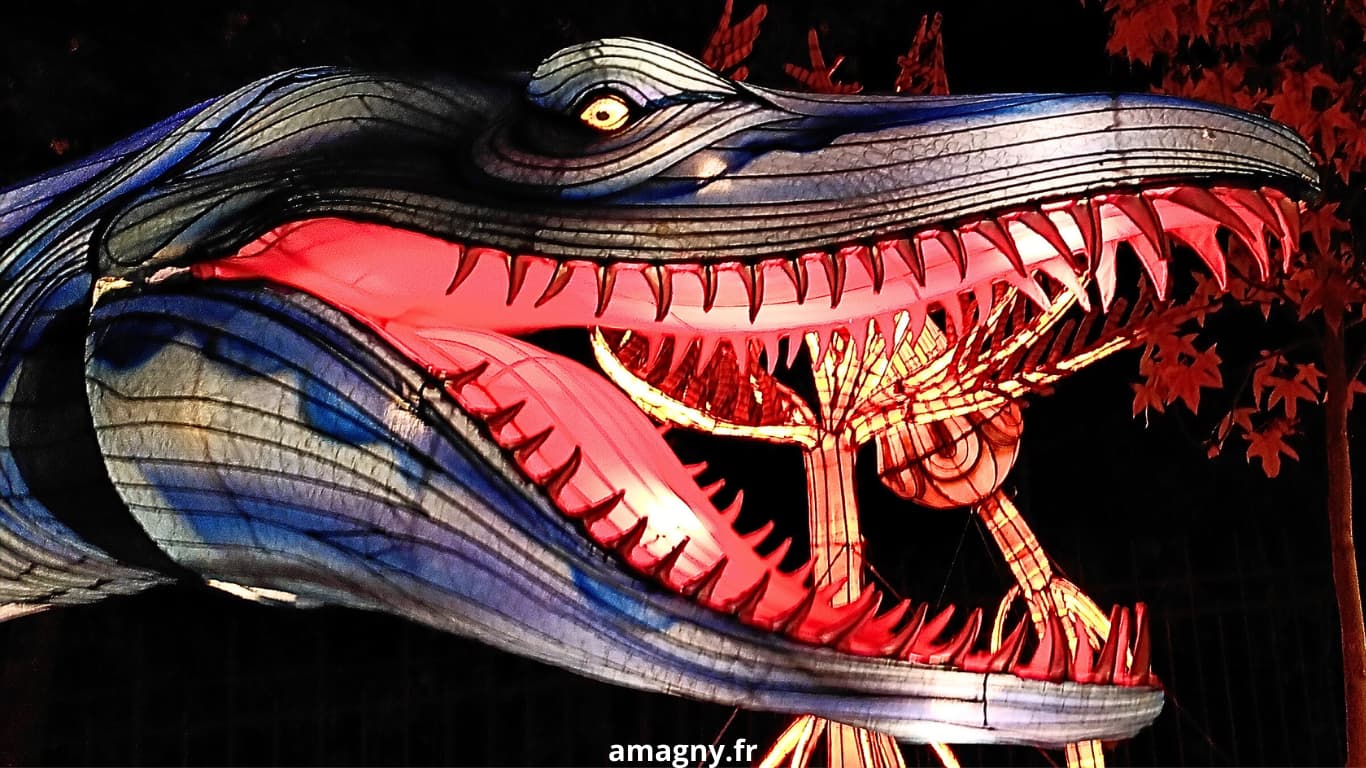 Lanterne lumineuse d’une créature marine préhistorique au Muséum d’Histoire naturelle de Paris.