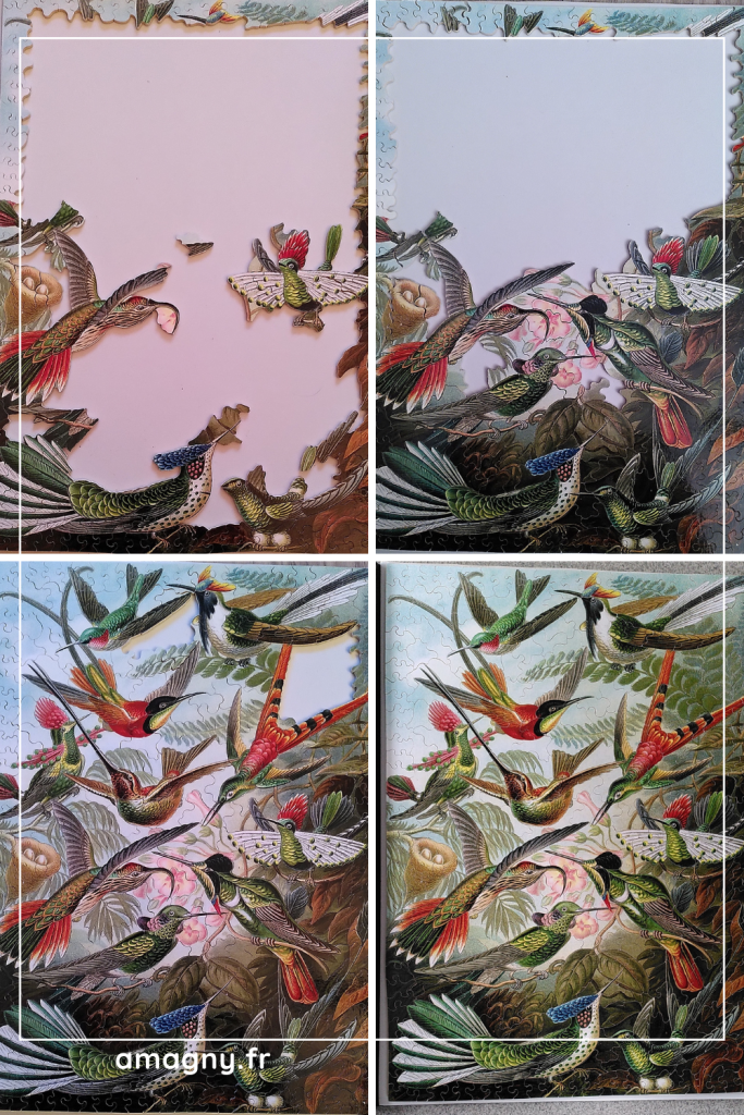 puzzle_michele_wilson_oiseau