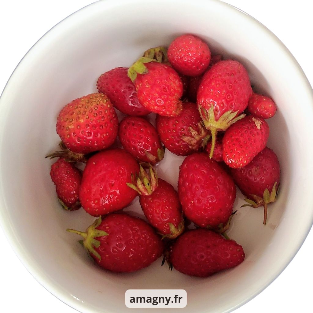 Bol de fraises fraîches et mûres sur fond clair.