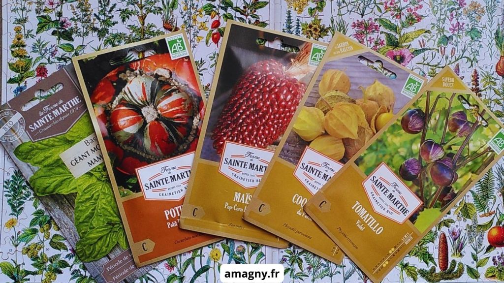 Sachets de graines bio variées disposés sur un fond botanique, prêts pour le potager urbain.