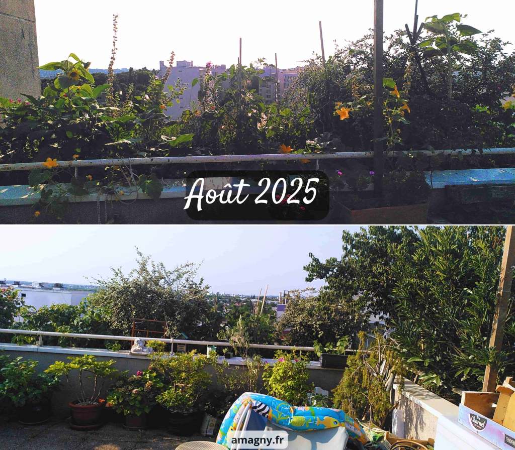 Montage de deux vues d’un jardin de toit urbain très fleuri et végétalisé en août.