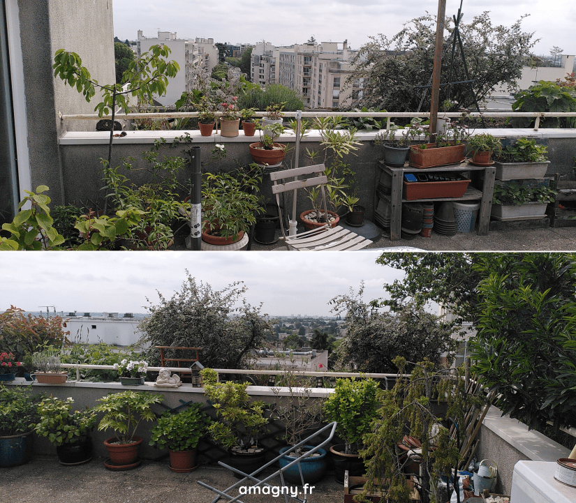 Panorama terrasse mai 2025