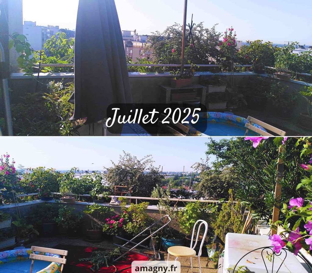 Montage de deux vues d’une terrasse urbaine très végétalisée en juillet.