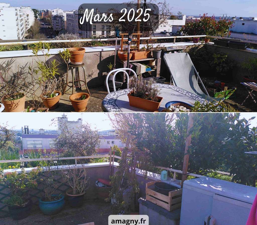 Terrasse urbaine aménagée avec de nombreux pots et mobilier de jardin en mars.