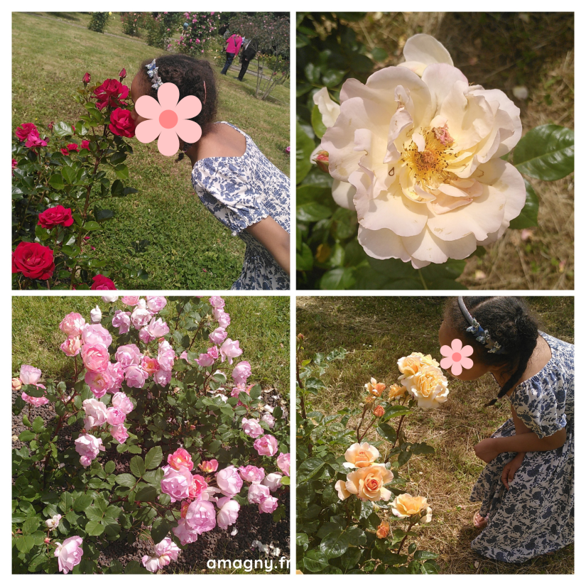 roseraie Hay les Roses