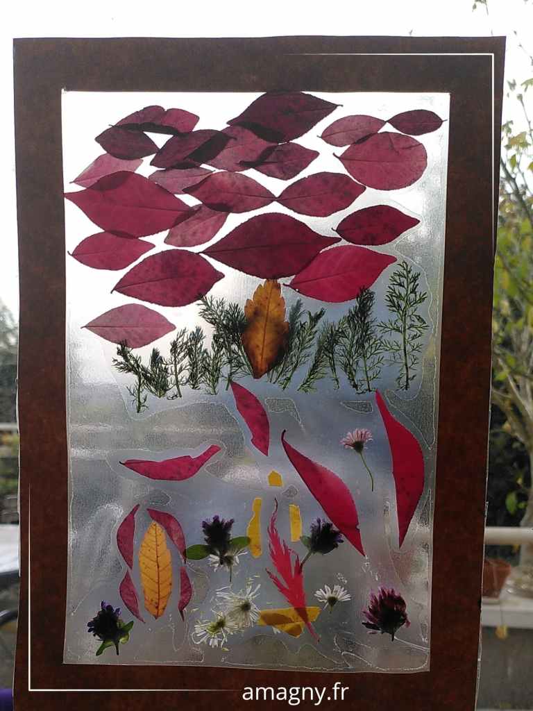 Œuvre éphémère réalisée par des enfants à l’arboretum de Châtenay-Malabry : feuilles, fleurs et tiges pressées entre deux plaques transparentes.