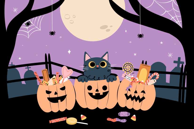Illustration festive d’Halloween avec trois citrouilles remplies de bonbons, un chat noir curieux, une pleine lune et un décor de cimetière nocturne.