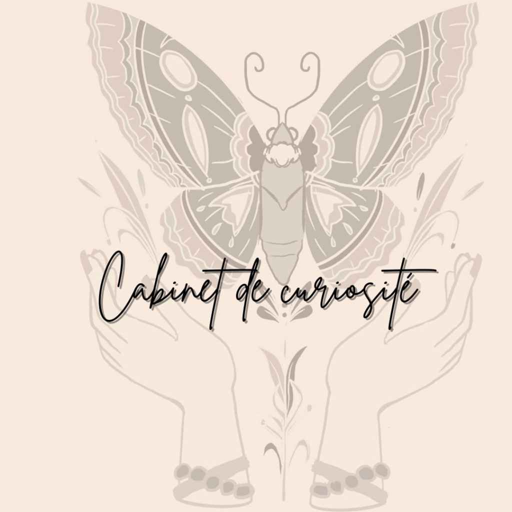 Illustration d’un papillon au-dessus de deux mains ouvertes, avec le texte « Cabinet de curiosité ».
