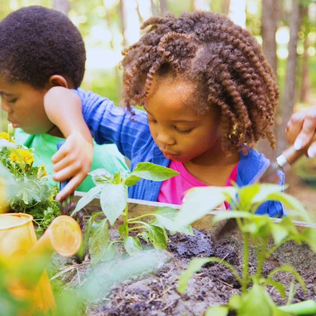Deux enfants jardinant dans un bac potager, observant les plantes et travaillant la terre.