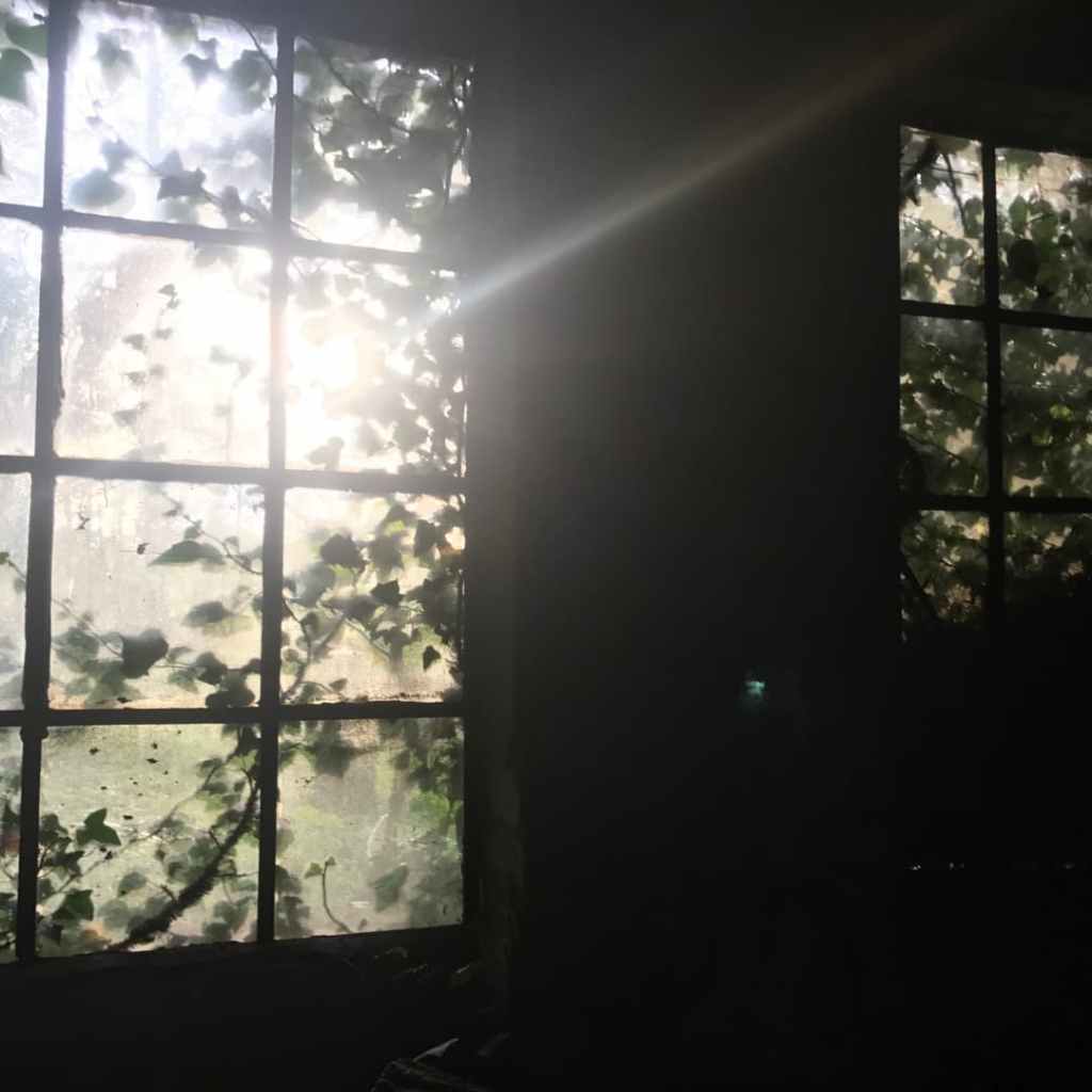 Fenêtre envahie de lierre laissant passer une lumière intense dans une pièce sombre, évoquant un décor post-apocalyptique abandonné.
