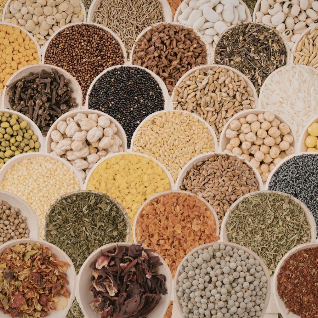 Assortiment de graines, légumineuses et semences variées présentées dans de petits contenants ronds.