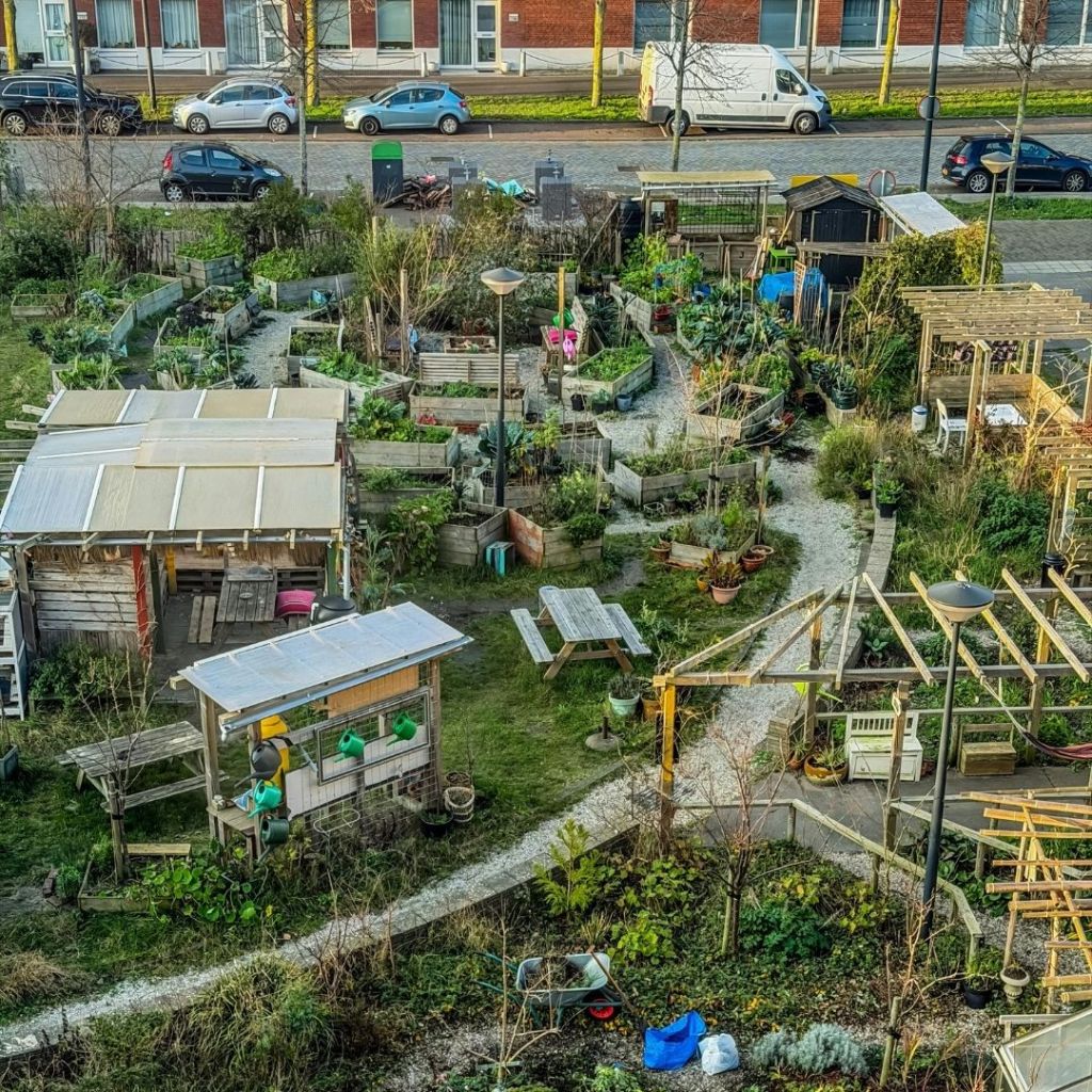Jardin ouvrier avec parcelles potagères, allées en gravier et abris de jardin.