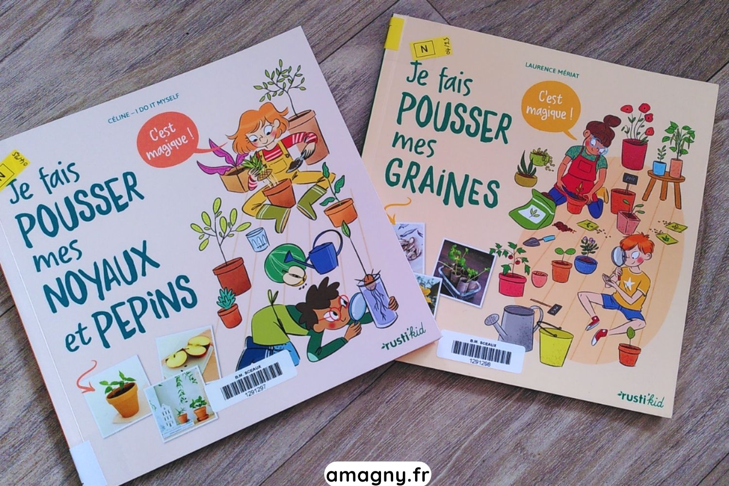 Montage de deux livres jeunesse sur la germination : faire pousser graines, noyaux et pépins.