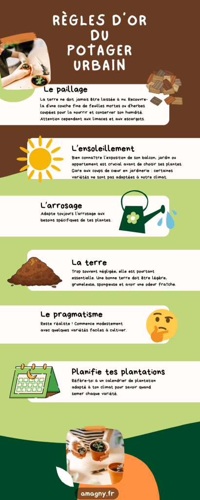 Infographie présentant six règles essentielles pour réussir son potager urbain : paillage, ensoleillement, arrosage, qualité de la terre, pragmatisme et planification.